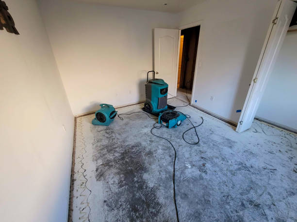 Best Water damage restoration near me  in Monticello, IN