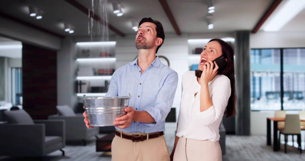 Best Flood damage cleanup  in Monticello, IN